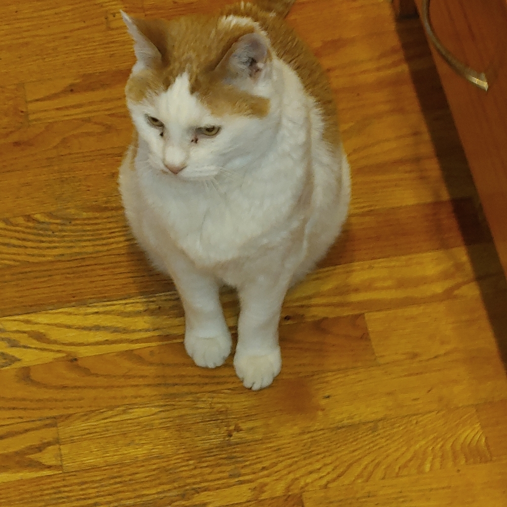 Meet your Poshers, Mark